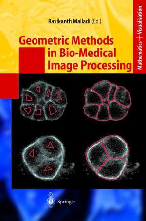 Geometric Methods in Bio-Medical Image Processing de Ravikanth Malladi