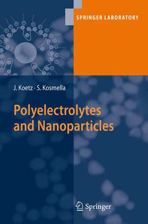 Polyelectrolytes and Nanoparticles de Joachim Koetz