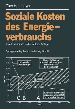 Soziale Kosten des Energieverbrauchs: Externe Effekte des Elektrizitätsverbrauchs in der Bundesrepublik Deutschland de Olav Hohmeyer