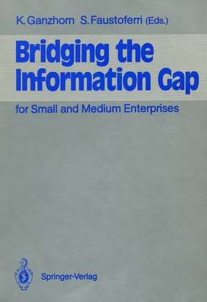 Bridging the Information Gap: for Small and Medium Enterprises de Karl Ganzhorn