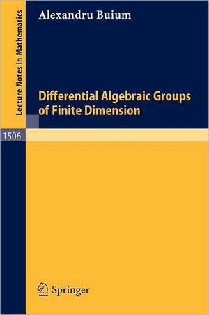 Differential Algebraic Groups of Finite Dimension de Alexandru Buium