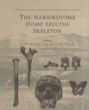 The Nariokotome Homo Erectus Skeleton de Alan Walker