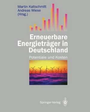 Erneuerbare Energieträger in Deutschland: Potentiale und Kosten de Martin Kaltschmitt