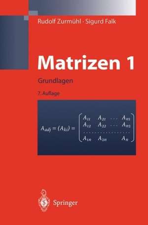 Matrizen und ihre Anwendungen 1 de Sigurd Falk