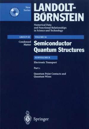 Quantum Point Contacts and Quantum Wires de B. Kramer