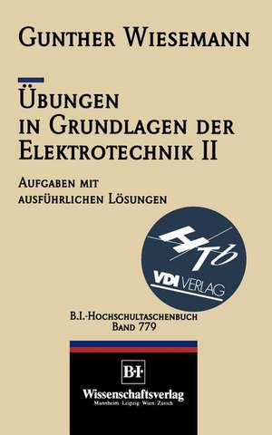 Übungen in Grundlagen der Elektrotechnik II: Das Magnetfeld und die elektromagnetische Induktion de Gunther Wiesemann