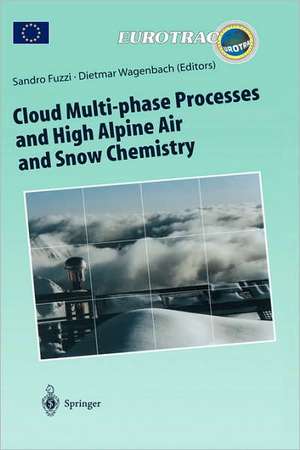 Cloud Multi-phase Processes and High Alpine Air and Snow Chemistry: Ground-based Cloud Experiments and Pollutant Deposition in the High Alps de Sandro Fuzzi