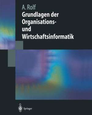 Grundlagen der Organisations-und Wirtschaftsinformatik de Arno Rolf