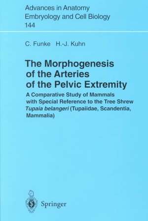 The Morphogenesis of the Arteries of the Pelvic Extremity: A Comparative Study of Mammals with special Reference to the Tree Shrew Tupaia belangeri (Tupaiidae, Scandentia, Mammalia) de Carolin Funke