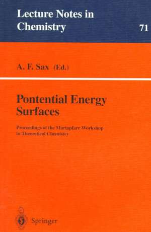 Potential Energy Surfaces: Proceedings of the Mariapfarr Workshop in Theoretical Chemistry de Alexander F. Sax