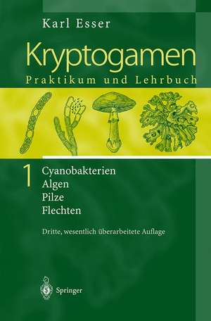 Kryptogamen 1: Cyanobakterien Algen Pilze Flechten Praktikum und Lehrbuch de Karl Esser