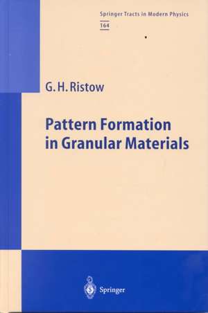 Pattern Formation in Granular Materials de Gerald H. Ristow