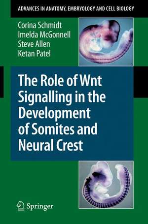 The Role of Wnt Signalling in the Development of Somites and Neural Crest de Corina Schmidt