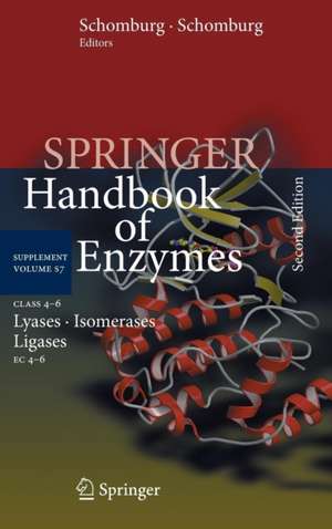 Class 4-6 Lyases, Isomerases, Ligases: EC 4-6 de Antje Chang