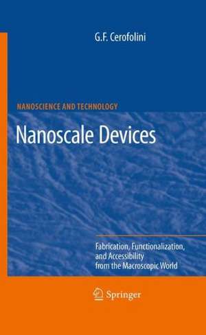 Nanoscale Devices: Fabrication, Functionalization, and Accessibility from the Macroscopic World de Gianfranco Cerofolini