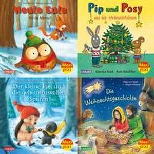 Maxi-Pixi-Box 104: Bilderbuchwinter (4x5 Exemplare) de Diverse