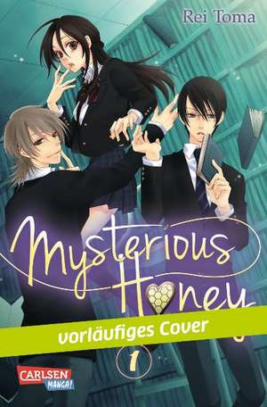 Mysterious Honey 01 de Rei Toma