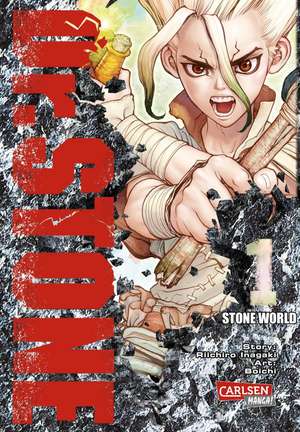 Dr. Stone 1 de Boichi