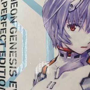 Neon Genesis Evangelion - Perfect Edition 2 de Yoshiyuki Sadamoto