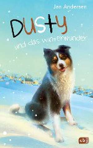 Dusty und das Winterwunder de Jan Andersen