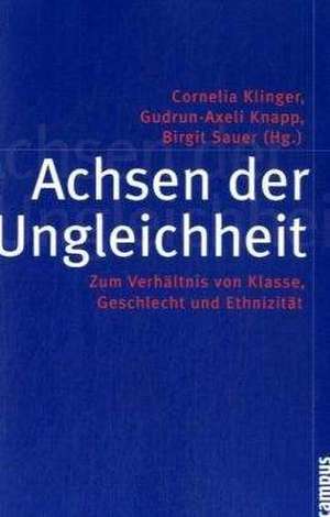 Achsen der Ungleichheit de Cornelia Klinger