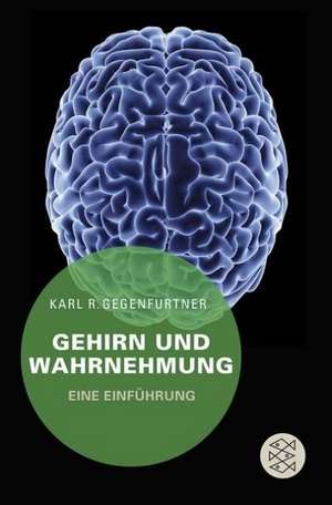 Gehirn und Wahrnehmung de Karl R. Gegenfurtner