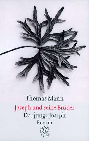 Joseph und seine Brüder II. Der junge Joseph de Thomas Mann