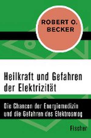 Heilkraft und Gefahren der Elektrizität de Roberto Becker