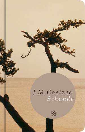 Coetzee, J: Schande