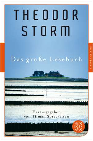 Das große Lesebuch de Theodor Storm