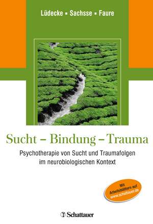 Sucht - Bindung - Trauma de Christel Lüdecke