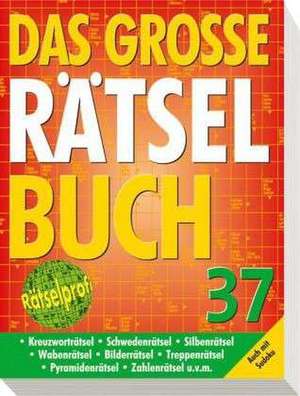 Das große Rätselbuch 37