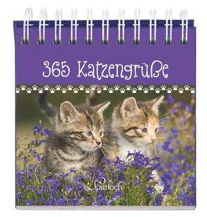 365 Katzengrüße