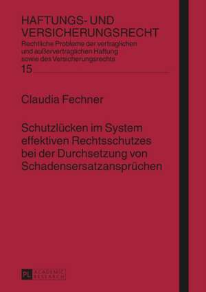 Schutzluecken Im System Effektiven Rechtsschutzes Bei Der Durchsetzung Von Schadensersatzanspruechen: Wahrnehmungen Durch Die Zeitgenossen in Den Herzogtuemern Schleswig Und Holstein Bis 1871 de Claudia Fechner