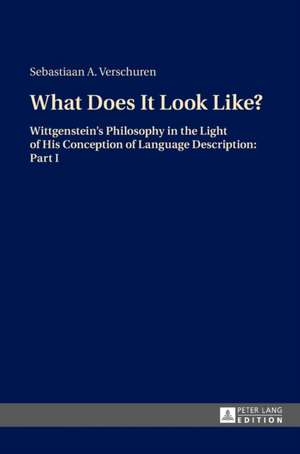 What Does It Look Like? de Sebastiaan A. Verschuren