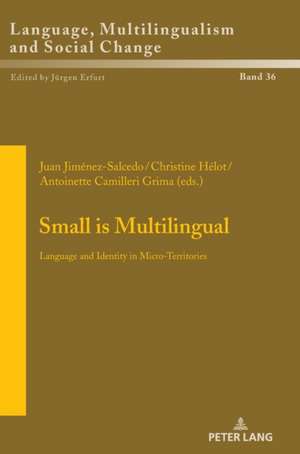 Small is Multilingual