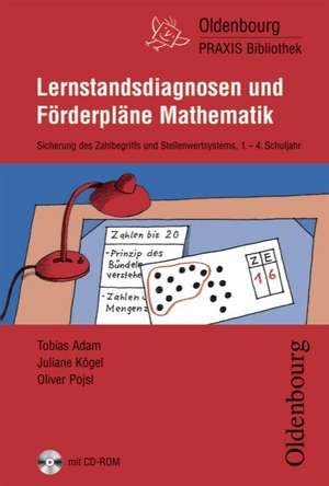 Lernstandsdiagnosen und Förderpläne Mathematik de Tobias Adam