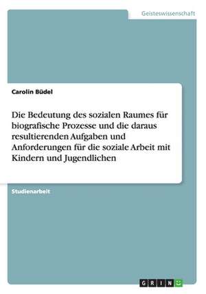 Die Bedeutung des sozialen Raumes für biografische Prozesse und die daraus resultierenden Aufgaben und Anforderungen für die soziale Arbeit mit Kindern und Jugendlichen de Carolin Büdel