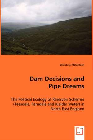 Dam Decisions and Pipe Dreams de Christine McCulloch