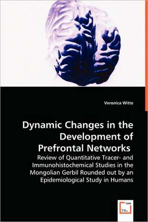 Dynamic Changes in the Development of Prefrontal Networks de Veronica Witte