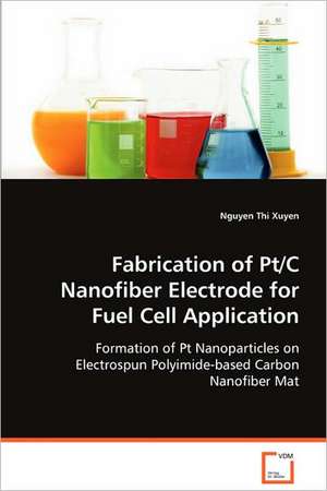 Fabrication of Pt/C Nanofiber Electrode for Fuel Cell Application de Nguyen Thi Xuyen