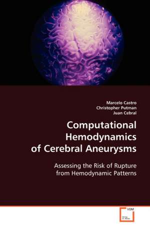 Computational Hemodynamics of Cerebral Aneurysms de Marcelo Castro