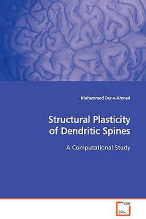 Structural Plasticity of Dendritic Spines de Muhammad Dur-e-Ahmad