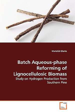 Batch Aqueous-phase Reforming of Lignocellulosic Biomass de Mariefel Olarte