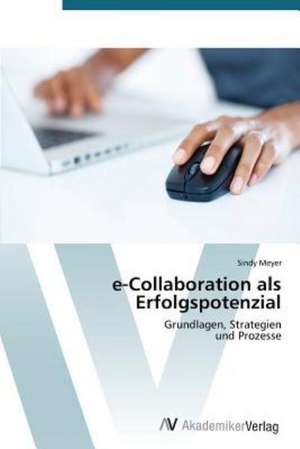 e-Collaboration als Erfolgspotenzial de Meyer Sindy