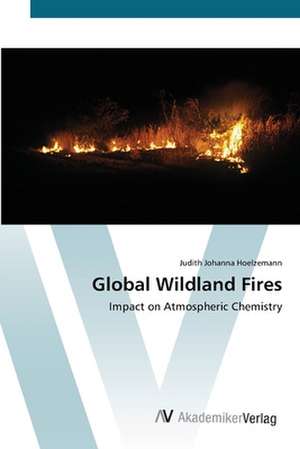 Global Wildland Fires de Judith Johanna Hoelzemann