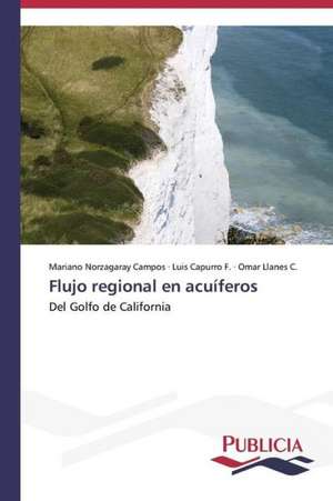 Flujo Regional En Acuiferos: Propiedades Estructurales, Opticas y Electricas de Mariano Norzagaray Campos