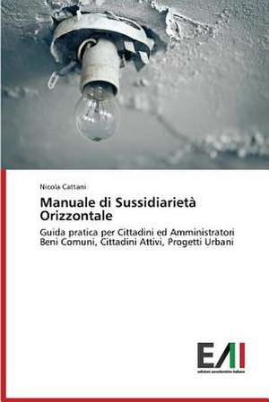 Manuale Di Sussidiarieta Orizzontale: Storia Delle Relazioni Tra Stati Uniti E Iran de Nicola Cattani