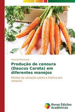 Producao de Cenoura (Daucus Carota) Em Diferentes Manejos