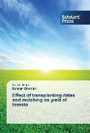 Effect of transplanting dates and mulching on yield of tomato de Sanket More